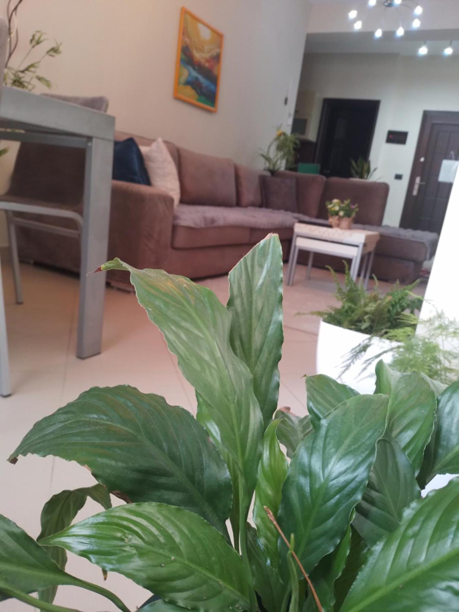 Bora Home Albania Me Vetsherbim 24 Ore Prane Liqenit Тирана Екстер'єр фото